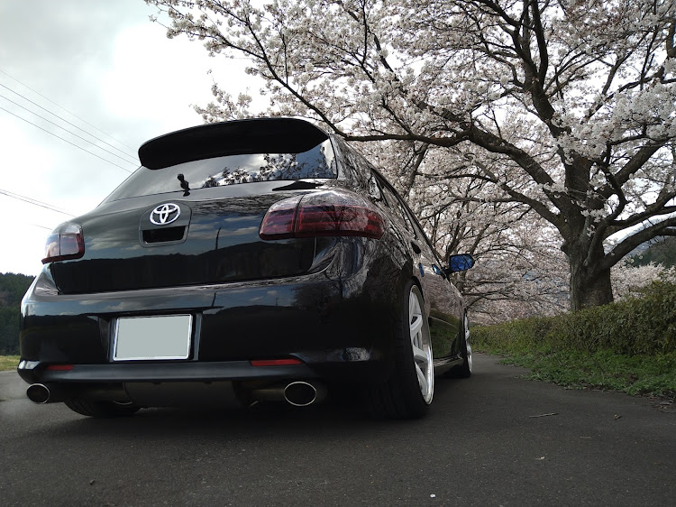 ブレイドのクリマコンフォート・桜・workwheels・車好き女子・桜とコラボ🌸に関するカスタム事例の投稿画像3枚目