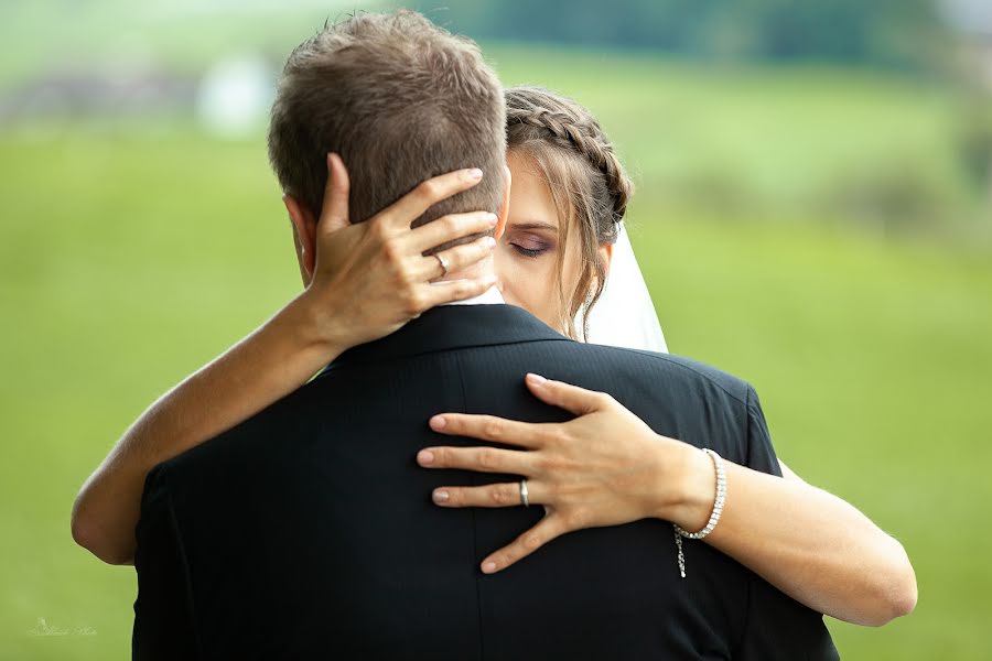 結婚式の写真家Ludvík Danek (ludvik)。2020 1月2日の写真