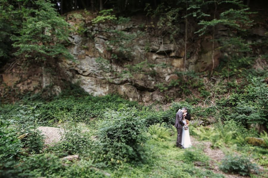 結婚式の写真家Schuchrat Kurbanov (charmewedd)。2014 10月29日の写真