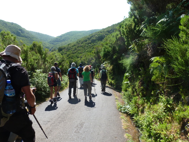 MADEIRA, Senderismo por sus Levadas y algo más - Blogs de Portugal - LEVADA DO RISCO, LEVADA 25 FONTES, PORTO MONIZ (1)