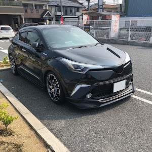 C-HR ZYX10