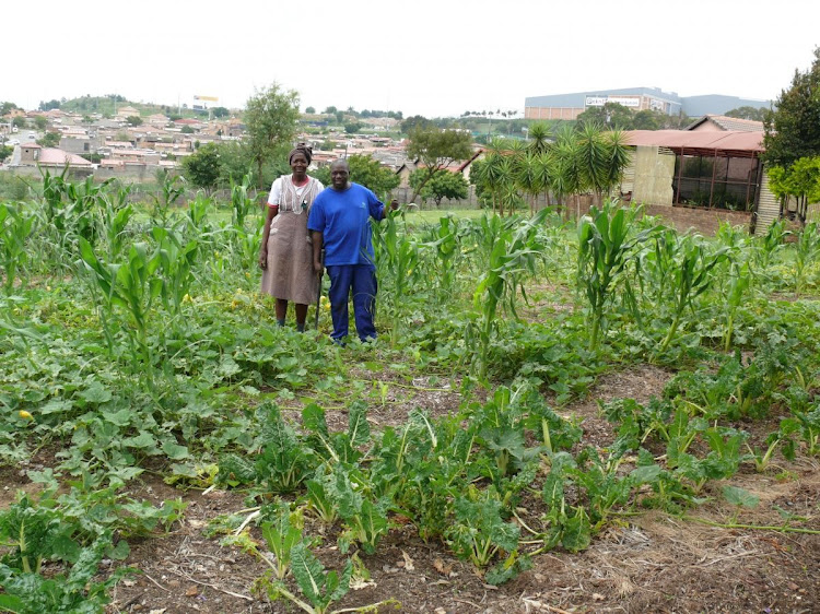 Food garden expert Amon Maluleke (right) with his wife on the (left).