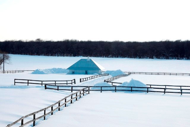 Même Meadows in Hokkaido.