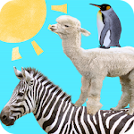 Cover Image of Download Animal Tower  APK