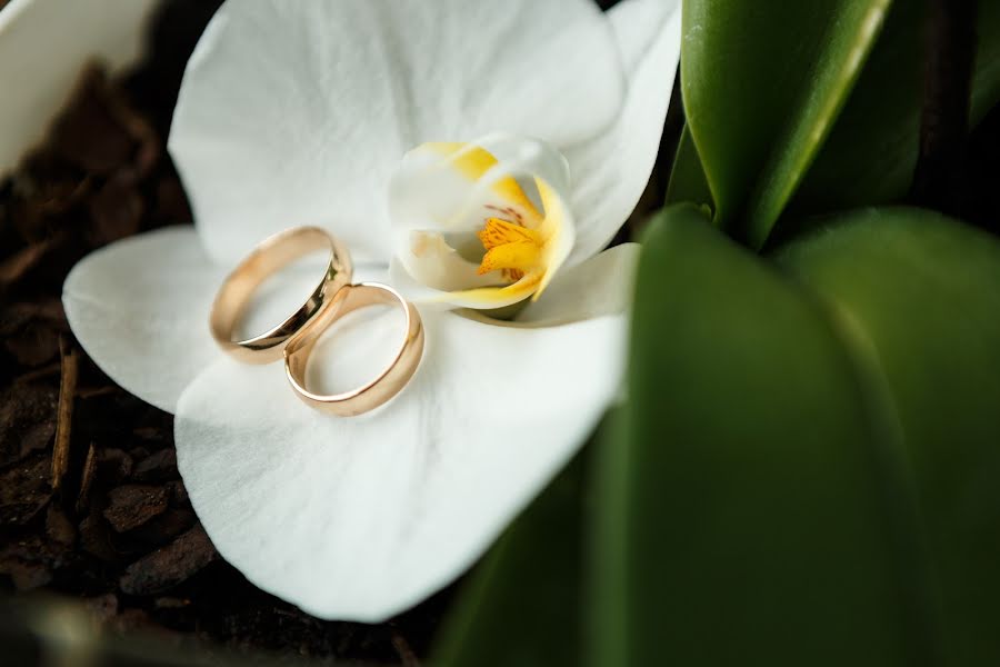 Fotógrafo de bodas Sergey Malandiy (grigori4). Foto del 3 de agosto 2017