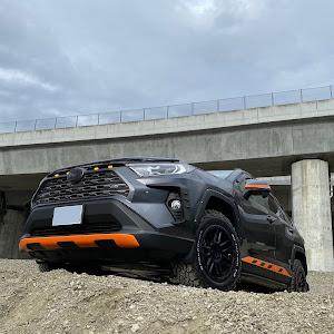 RAV4 AXAH54