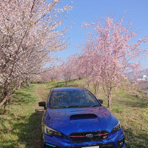 WRX STI VAB