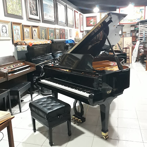 Aumala Pianos - Tienda de instrumentos musicales