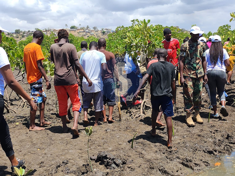 Villagers helping in the planting of mangrove trees in Changamwe area.