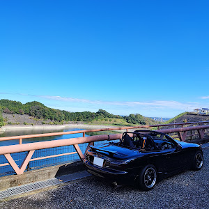 ロードスター NB8C