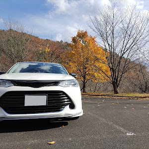 カローラフィールダー NZE161G