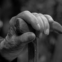 Il bastone della saggezza. di 