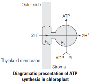 Solution Image