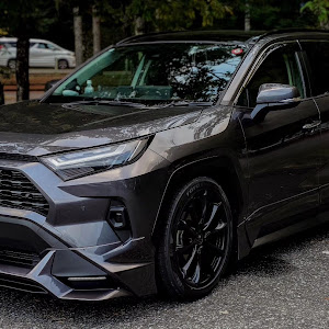 RAV4 AXAH54