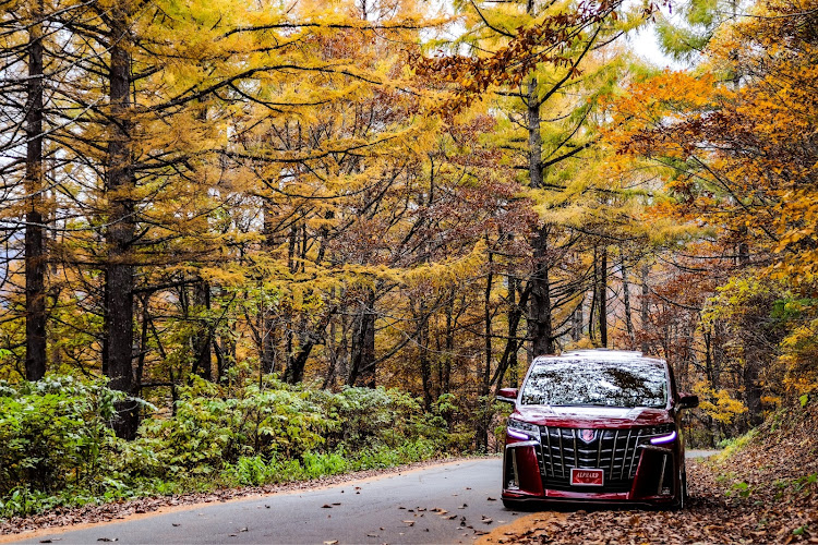 アルファードの紅葉と愛車・ダークレッドマイカメタリック・有峰林道に関するカスタム事例の投稿画像8枚目