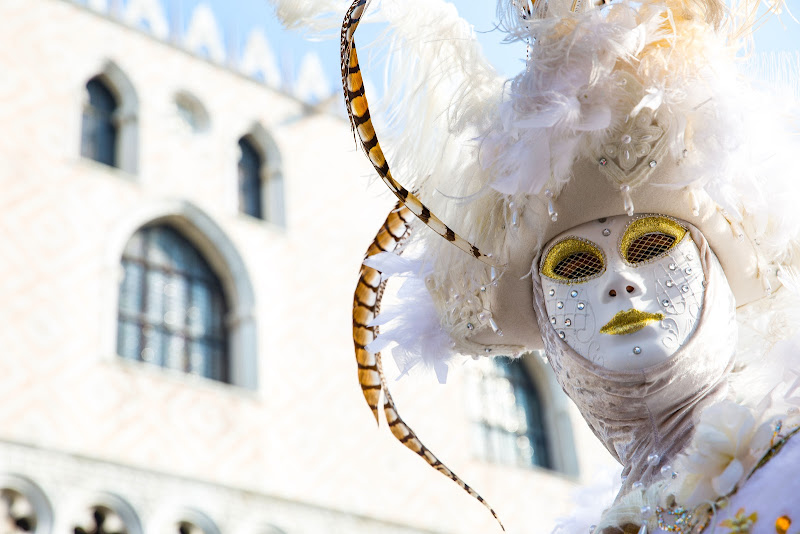 Carnevale a Venezia di g.paciphoto