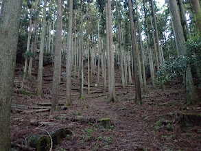 薄い踏み跡を進む