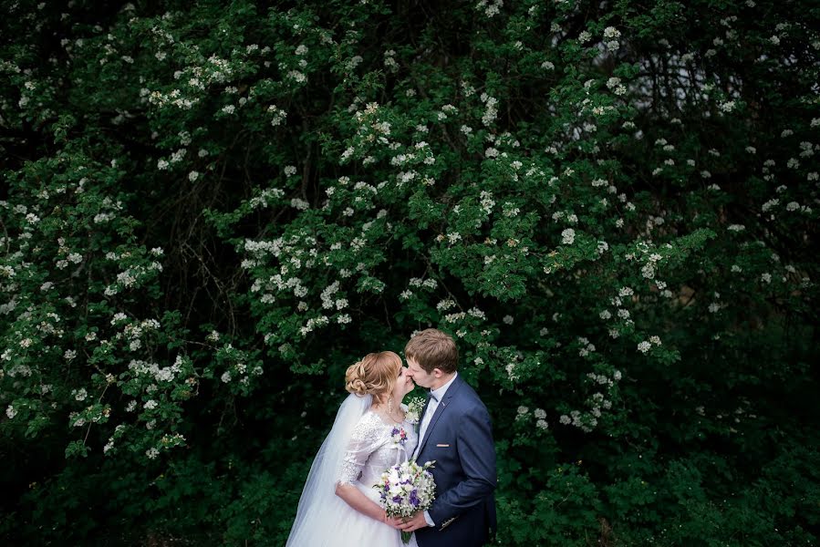 Photographe de mariage Bogdan Mikhalevich (mbphoto). Photo du 24 août 2017