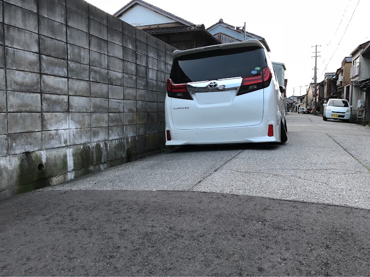 アルファードのりょーたさんが投稿したカスタム事例の投稿画像2枚目
