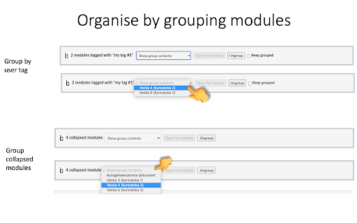 Canvas Modules Organiser