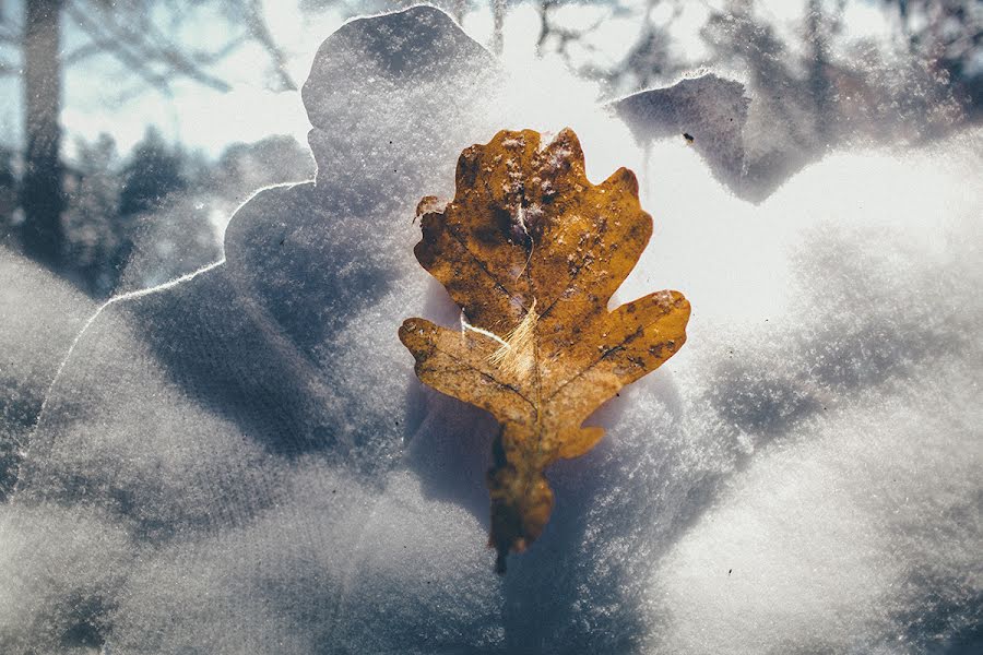 Свадебный фотограф Евгений Шамшура (evgeniishamshur). Фотография от 28 октября 2014