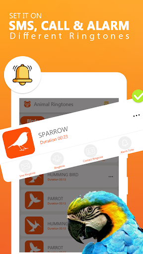 Animal Ringtones - Animal Wallpaper Bird Ringtones