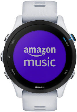 Garmin Forerunner 255 Music GPS Smartwatch - 45.6mm alternate image 13