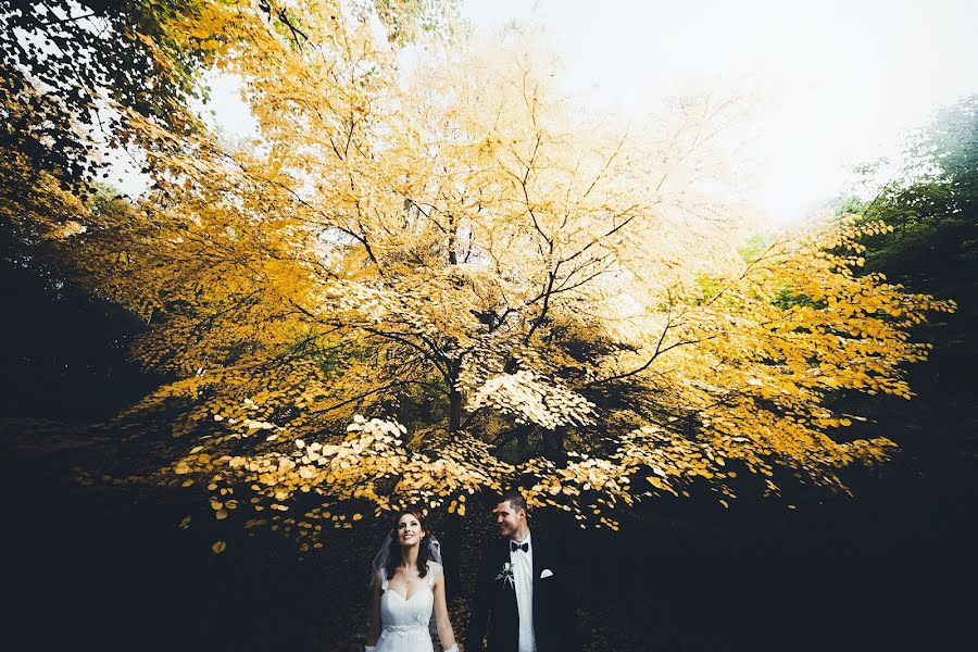 Wedding photographer Yaroslav Gumenyuk (slavo4ka). Photo of 19 December 2015