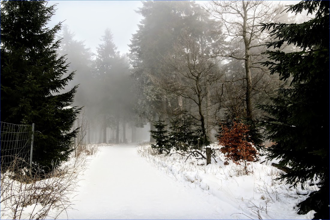 Тюрингенский лес (Thüringer Wald) и Айзенах в январе 2022.