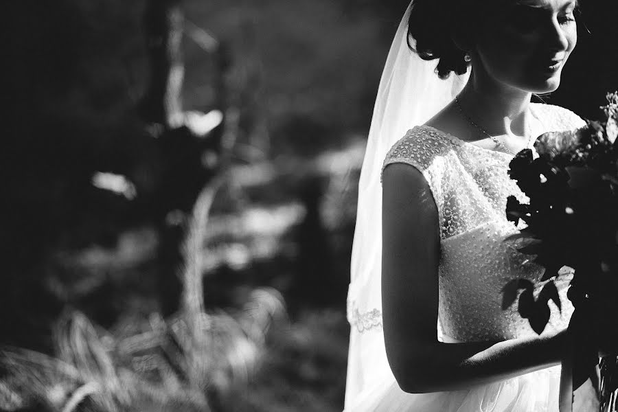 結婚式の写真家Igor Sakharov (iga888)。2015 11月22日の写真