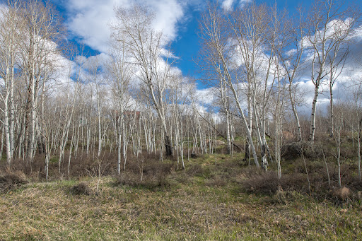 Land with panoramic view 3