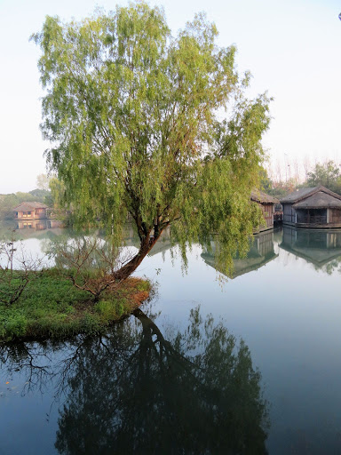 A Day in Wuzhen China 2016