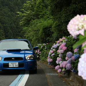 インプレッサ WRX STI GDB