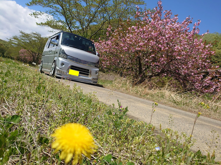 エブリイワゴンの母の日・5月もよろしくお願いします・ゴールデンウィーク最終日・低そうで低くない少し低い車・GWの思い出に関するカスタム事例の投稿画像58枚目
