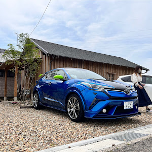 C-HR ZYX10