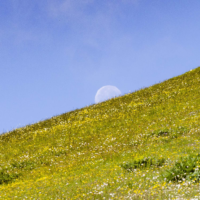 spunta la luna... di francomariangeli