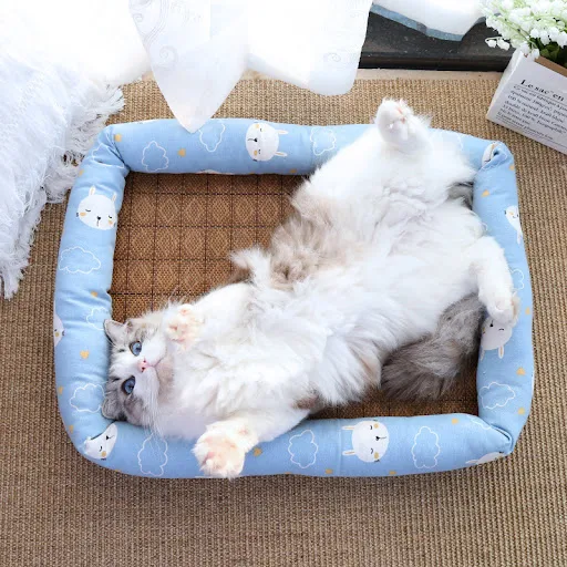 Summer Cat Bed Cushion Ice Silk Cool Pet Mat Small Medium Big Cat Sleeping Bed Nest Breathable Sofa Cooling Rattan Pet M