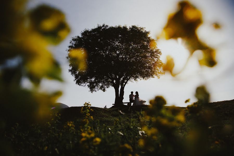 Vestuvių fotografas Darya Artischeva (daryawedd). Nuotrauka 2017 gruodžio 27