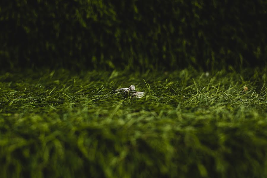 Wedding photographer Nacho Cordoba (ncordoba). Photo of 5 January 2019