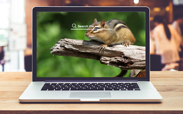 Chipmunks HD Wallpapers Animal Theme