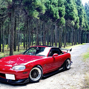 ロードスター NB6C