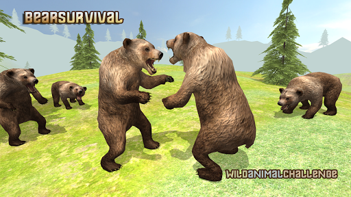 Bear Survival Simulator