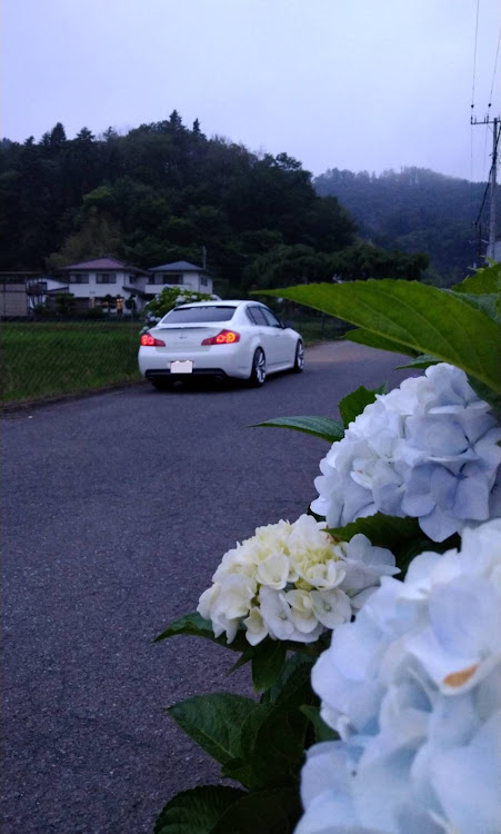 スカイラインのINFINITI G25・あじさい祭・あじさいコラボ・金太郎の地・ホタル案内のおじさんに感謝に関するカスタム事例の投稿画像1枚目