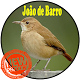 Download Canto João de Barro For PC Windows and Mac 1.0