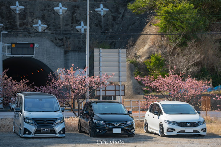 ジェイドのBLITZ BIG CALIPER KIT Ⅱ・WORK ZR10 2P・V-VISION マフラー・SIGMAレンズ・河津桜に関するカスタム事例の投稿画像2枚目