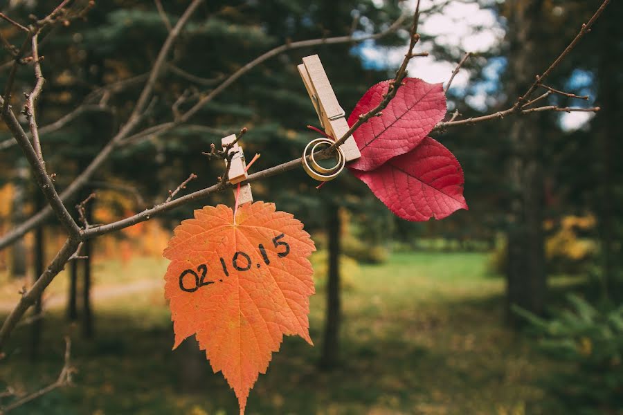 Wedding photographer Ekaterina Sagalaeva (katesagalaeva). Photo of 31 October 2015