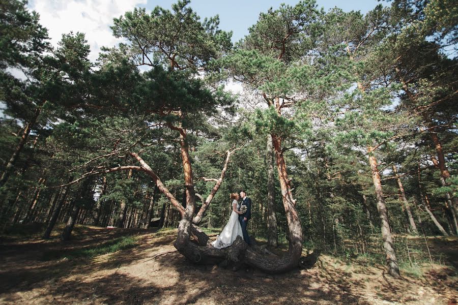 Fotógrafo de bodas Andrey Radaev (radaevphoto). Foto del 5 de junio 2016