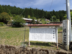 桂山遺跡