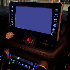 RAV4 50系