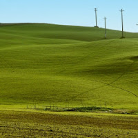 Dolci colli verdi di 